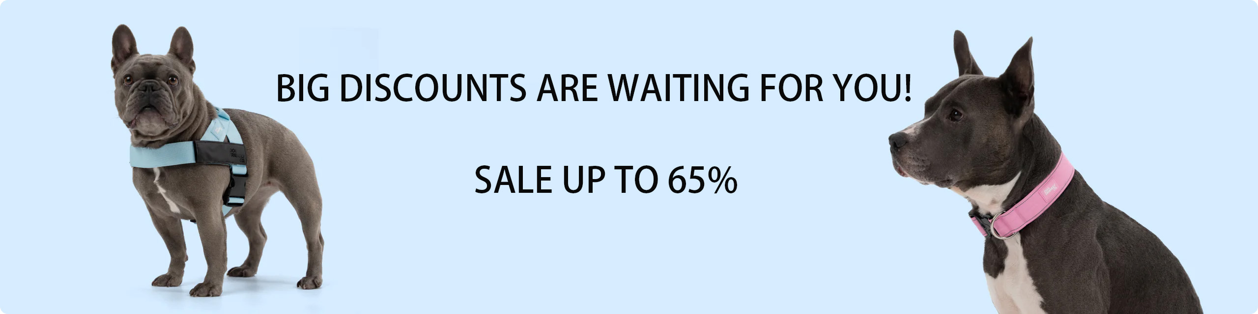 Hot Sale Pet Supplies -Hot Sale Pet Supplies 1