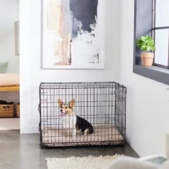 Frisco Swirl Dog Crate Mat 12 Frisco Swirl Dog Crate Mat -Hot Sale Pet Supplies 110506 PT5. AC SS1800 V1635258765