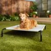 Frisco Steel-Framed Elevated Dog Bed -Hot Sale Pet Supplies 112076 MAIN. AC SS1800 V1674156718