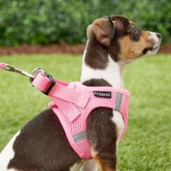 Frisco Small Breed Soft Vest Step In Back Clip Dog Harness -Hot Sale Pet Supplies 139821 PT5. AC SS1800 V1561573781