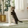 Frisco 21-in Sisal Cat Scratching Post With Toy -Hot Sale Pet Supplies 140149 MAIN. AC SS1800 V1665765071