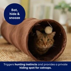 Frisco 35-in Foldable Crinkle Play Tunnel With 1 Window -Hot Sale Pet Supplies 140166 PT3. AC SS1800 V1695670685