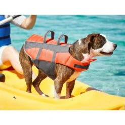 Frisco Ripstop Dog Life Jacket 18 Frisco Ripstop Dog Life Jacket -Hot Sale Pet Supplies 140919 PT7. AC SS1800 V1631051825