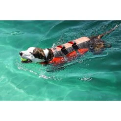 Frisco Ripstop Dog Life Jacket 19 Frisco Ripstop Dog Life Jacket -Hot Sale Pet Supplies 140919 PT8. AC SS1800 V1540476454