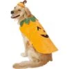 Frisco Pumpkin Dog & Cat Costume -Hot Sale Pet Supplies 144446 MAIN. AC SS1800 V1540495184