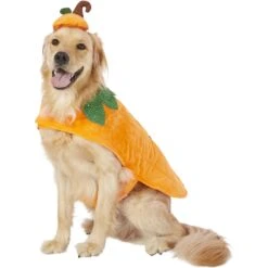 Frisco Pumpkin Dog & Cat Costume -Hot Sale Pet Supplies 144446 PT2. AC SS1800 V1567174700