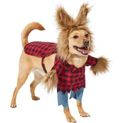 Frisco Front Walking Werewolf Dog & Cat Costume 13 Frisco Front Walking Werewolf Dog & Cat Costume -Hot Sale Pet Supplies 144561 PT3. AC SS1800 V1624402152