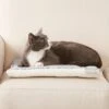 Frisco Reversible Square Cat Pad 2 Frisco Reversible Square Cat Pad -Hot Sale Pet Supplies 144826 MAIN. AC SS1800 V1566936429
