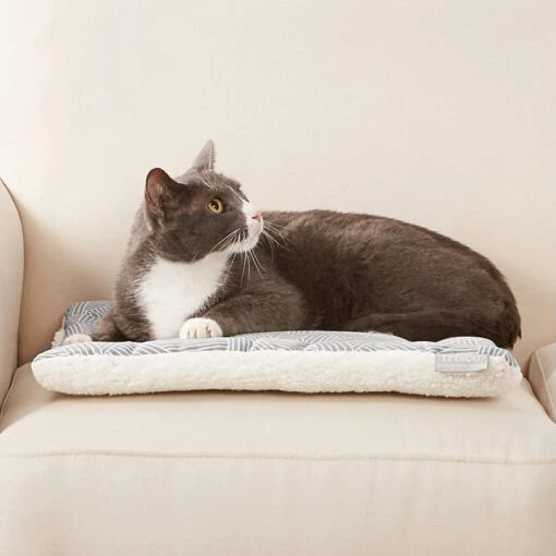 Frisco Reversible Square Cat Pad -Hot Sale Pet Supplies 144826 MAIN. AC SS1800 V1566936429