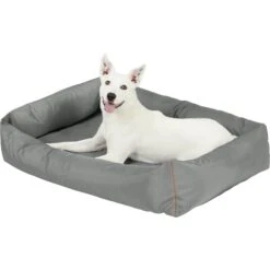 Frisco Rectangular Bolster Dog Bed W/Removable Cover, Dark Gray 10 Frisco Rectangular Bolster Dog Bed W/Removable Cover, Dark Gray -Hot Sale Pet Supplies 144865 PT4. AC SS1800 V1578443251