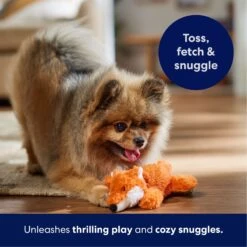 Frisco Fox Plush Squeaky Dog Toy -Hot Sale Pet Supplies 147012 PT4. AC SS1800 V1695671028