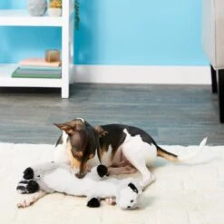 Frisco Raccoon Skinny Plush Squeaky Dog Toy -Hot Sale Pet Supplies 147045 PT1. AC SS1800 V1539205362