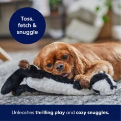 Frisco Skunk Skinny Plush Squeaky Dog Toy 12 Frisco Skunk Skinny Plush Squeaky Dog Toy -Hot Sale Pet Supplies 147047 PT4. AC SS1800 V1695659218