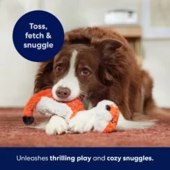 Frisco Fox Skinny Plush Squeaky Dog Toy -Hot Sale Pet Supplies 147049 PT5. AC SS1800 V1691776638