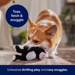 Frisco Cow Textured Plush Squeaky Dog Toy -Hot Sale Pet Supplies 147059 PT5. AC SS1800 V1691776636