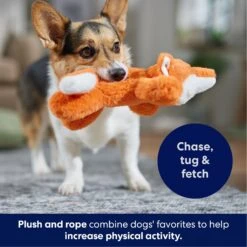Frisco Fox Plush With Inside Rope Squeaky Dog Toy -Hot Sale Pet Supplies 147065 PT4. AC SS1800 V1695671059