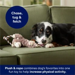 Frisco Monkey Plush With Rope Squeaky Dog Toy -Hot Sale Pet Supplies 147067 PT4. AC SS1800 V1686079871