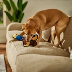 Frisco Duck Flat Plush Squeaky Dog Toy -Hot Sale Pet Supplies 147069 PT3. AC SS1800 V1674158058