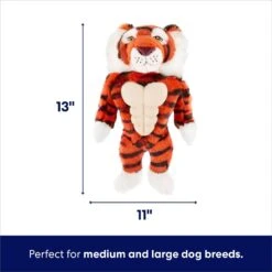 Frisco Tiger Muscle Plush Squeaky Dog Toy 9 Frisco Tiger Muscle Plush Squeaky Dog Toy -Hot Sale Pet Supplies 147080 PT1. AC SS1800 V1695670749