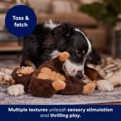 Frisco Gorilla Muscle Plush Squeaky Dog Toy -Hot Sale Pet Supplies 147084 PT5. AC SS1800 V1694182068