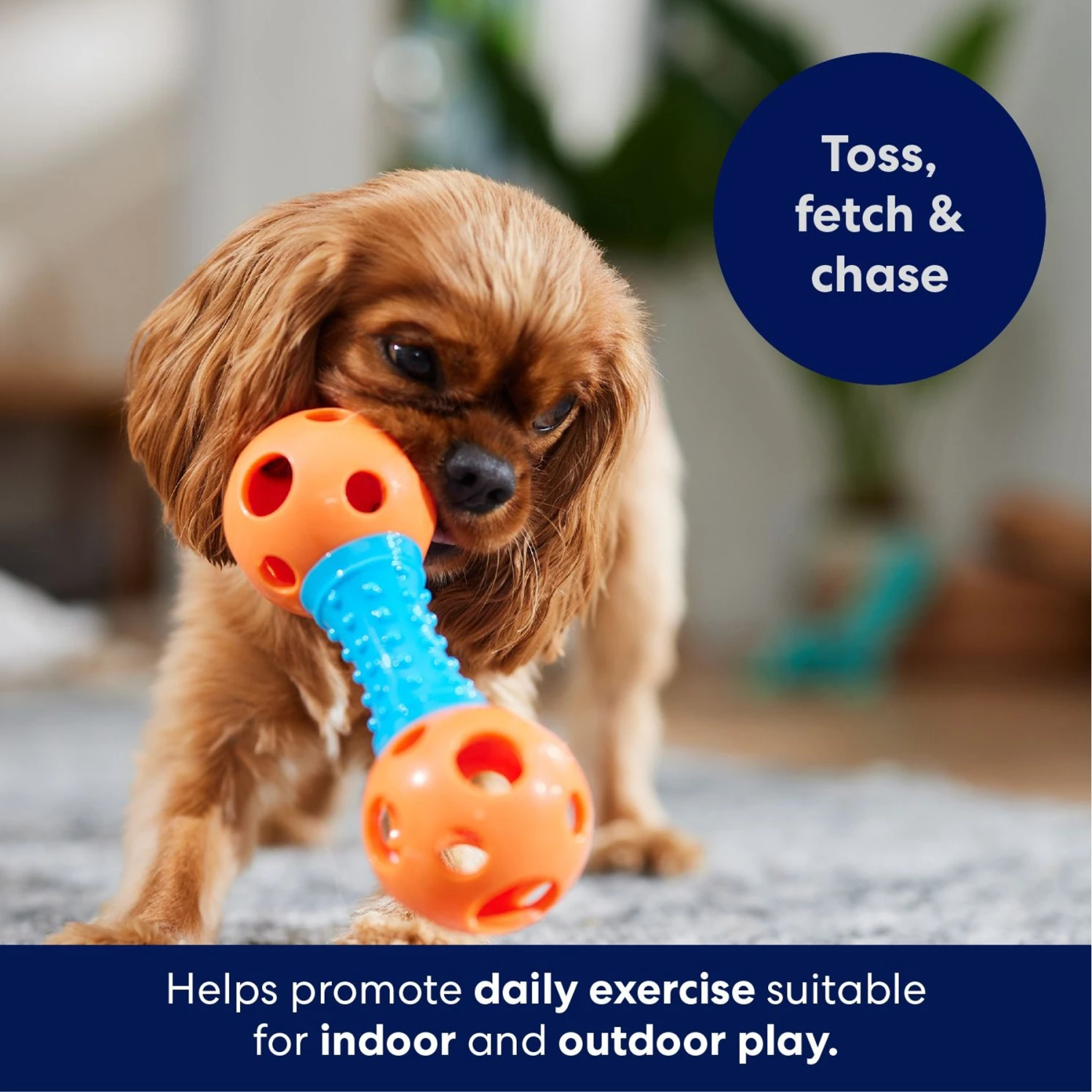 Frisco Dumbbell TPR Fetch Dog Toy 6 Frisco Dumbbell TPR Fetch Dog Toy - Image 4