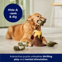 Frisco Volcano Hide & Seek Puzzle Plush Squeaky Dog Toy -Hot Sale Pet Supplies 152810 PT3. AC SS1800 V1686079871