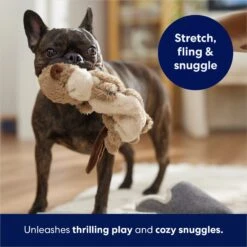 Frisco Beaver Bungee Plush Squeaky Dog Toy -Hot Sale Pet Supplies 152824 PT5. AC SS1800 V1686580146