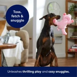 Frisco Corduroy Plush Squeaking Pig Dog Toy 12 Frisco Corduroy Plush Squeaking Pig Dog Toy -Hot Sale Pet Supplies 152832 PT4. AC SS1800 V1695671001