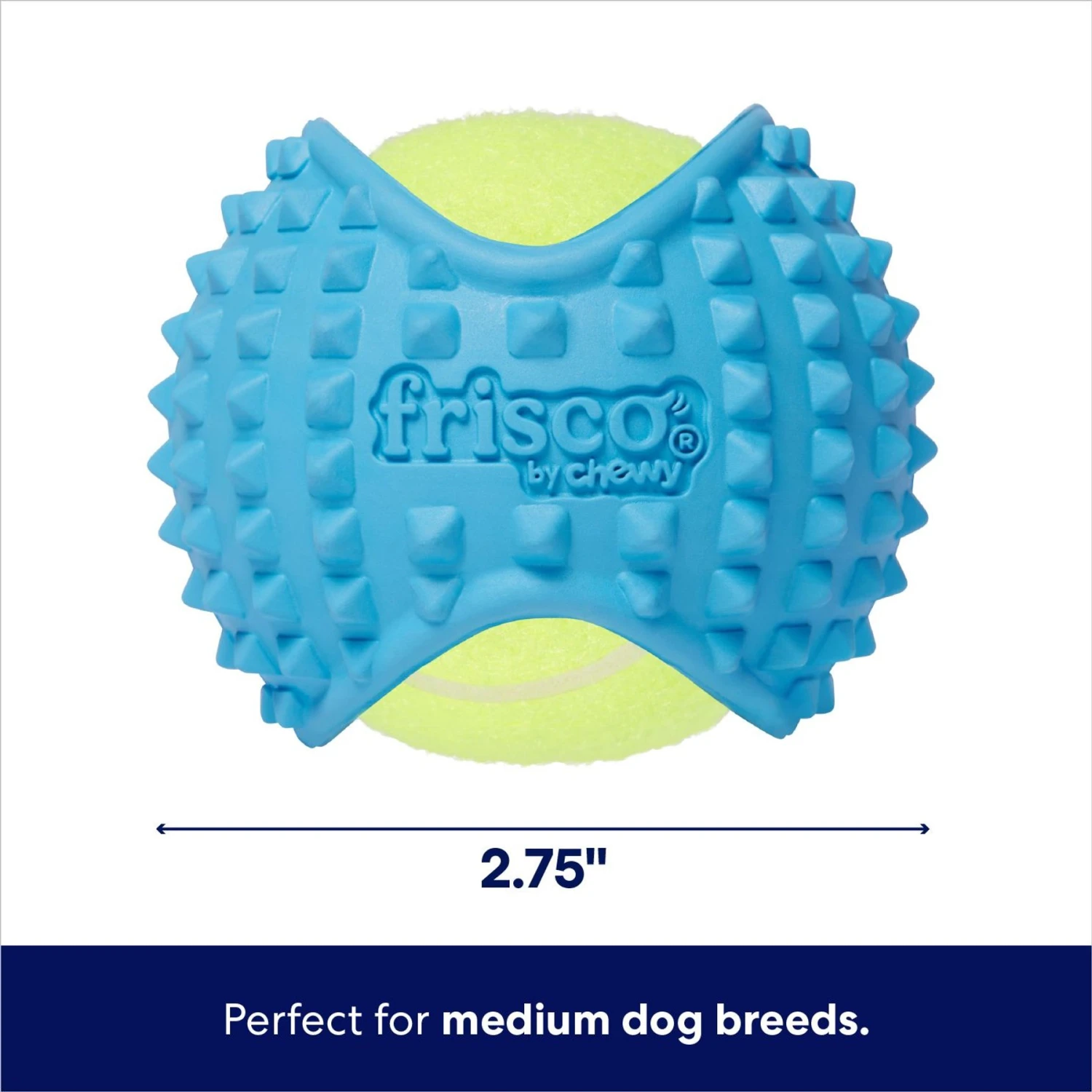 Frisco Fetch Squeaky Tennis Ball With Rubber Sleeve Dog Toy 4 Frisco Fetch Squeaky Tennis Ball With Rubber Sleeve Dog Toy - Image 2