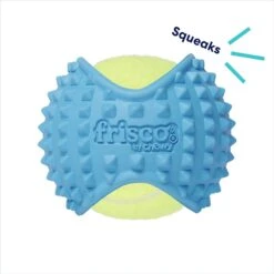 Frisco Fetch Squeaky Tennis Ball With Rubber Sleeve Dog Toy 11 Frisco Fetch Squeaky Tennis Ball With Rubber Sleeve Dog Toy -Hot Sale Pet Supplies 152844 PT2. AC SS1800 V1691776695