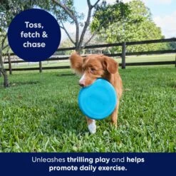 Frisco Fetch Rubber Flyer Dog Toy 8 Frisco Fetch Rubber Flyer Dog Toy -Hot Sale Pet Supplies 152848 PT5. AC SS1800 V1692370079