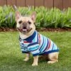 Frisco Striped Dog & Cat Polo Shirt, Red & Blue -Hot Sale Pet Supplies 153590 MAIN. AC SS1800 V1674158971