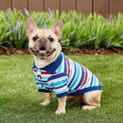 Frisco Striped Dog & Cat Polo Shirt, Red & Blue