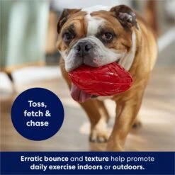 Frisco Football TPR Squeaky Dog Toy -Hot Sale Pet Supplies 154412 PT3. AC SS1800 V1686578718