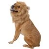 Frisco Lion Mane Dog & Cat Costume -Hot Sale Pet Supplies 158732 MAIN. AC SS1800 V1625873829