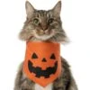 Frisco Jack O' Lantern Pumpkin Dog & Cat Bandana -Hot Sale Pet Supplies 158934 MAIN. AC SS1800 V1669148132