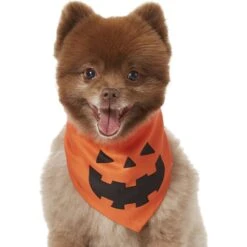 Frisco Jack O' Lantern Pumpkin Dog & Cat Bandana -Hot Sale Pet Supplies 158934 PT2. AC SS1800 V1690828662