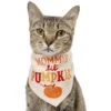 Frisco Mommy's Lil Pumpkin Dog & Cat Bandana -Hot Sale Pet Supplies 158936 MAIN. AC SS1800 V1689628232