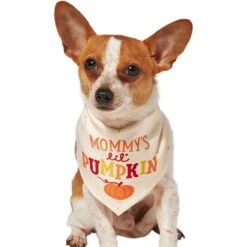 Frisco Mommy's Lil Pumpkin Dog & Cat Bandana -Hot Sale Pet Supplies 158936 PT2. AC SS1800 V1689629423