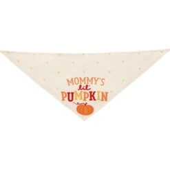 Frisco Mommy's Lil Pumpkin Dog & Cat Bandana -Hot Sale Pet Supplies 158936 PT3. AC SS1800 V1689628812