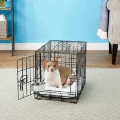 Frisco Stainless Steel Kennel Bowl Dog & Cat Bowl 8 Frisco Stainless Steel Kennel Bowl Dog & Cat Bowl -Hot Sale Pet Supplies 159871 PT3. AC SS1800 V1570543067