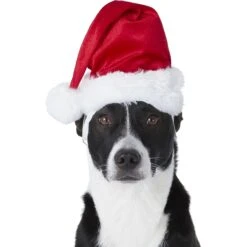 Frisco Holiday Dog & Cat Santa Hat, 1 Count -Hot Sale Pet Supplies 160054 PT2. AC SS1800 V1669100718