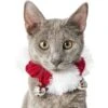 Frisco Jingle Bells Dog & Cat Holiday Collar With Bells, 1 Count 1 Frisco Jingle Bells Dog & Cat Holiday Collar With Bells, 1 Count -Hot Sale Pet Supplies 160063 MAIN. AC SS1800 V1663948848