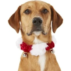 Frisco Jingle Bells Dog & Cat Holiday Collar With Bells, 1 Count 10 Frisco Jingle Bells Dog & Cat Holiday Collar With Bells, 1 Count -Hot Sale Pet Supplies 160063 PT2. AC SS1800 V1669101088
