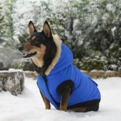 Frisco Heavyweight Anchorage Insulated Dog & Cat Parka -Hot Sale Pet Supplies 160250 PT7. AC SS1800 V1567011259