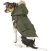 Frisco Mid-Heavyweight Portland Insulated Dog & Cat Parka -Hot Sale Pet Supplies 160295 MAIN. AC SS1800 V1566999745
