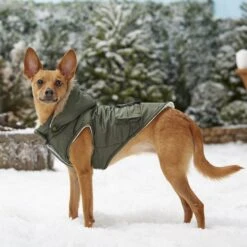 Frisco Mid-Heavyweight Portland Insulated Dog & Cat Parka -Hot Sale Pet Supplies 160295 PT7. AC SS1800 V1567618265