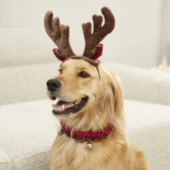 Frisco Holiday Antler Headband & Bell Collar Dog & Cat Costume -Hot Sale Pet Supplies 160658 PT4. AC SS1800 V1568818037