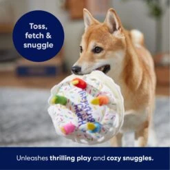 Frisco Birthday Cake Plush Squeaky Dog Toy -Hot Sale Pet Supplies 162839 PT4. AC SS1800 V1695671061