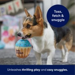 Frisco Birthday Cupcake Plush Squeaky Dog Toy -Hot Sale Pet Supplies 162847 PT4. AC SS1800 V1695659216